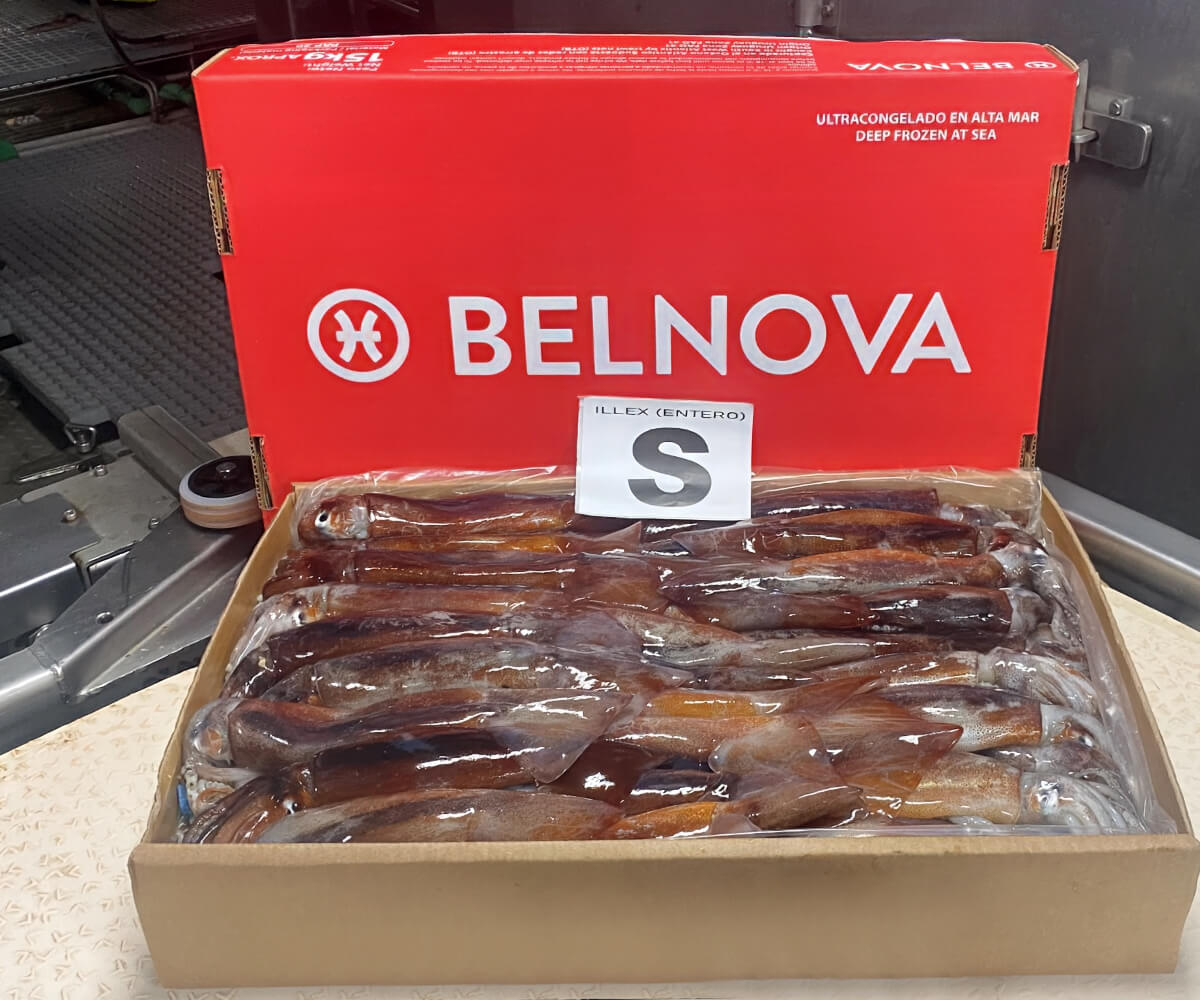belnova-1