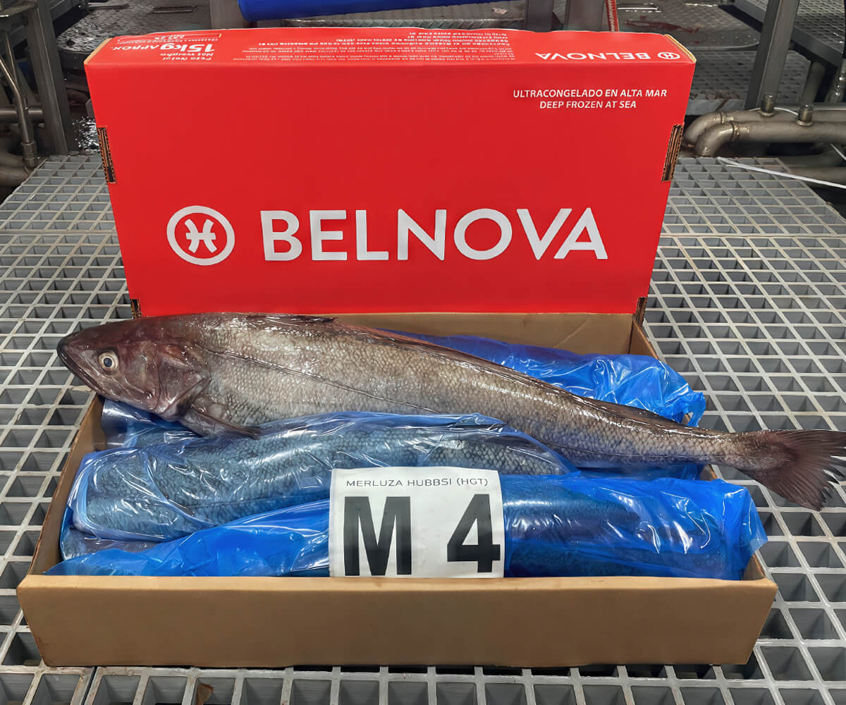 belnova-2
