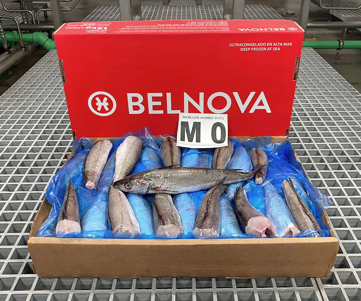 belnova-4